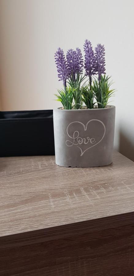 Boglárka Apartman Hajdúszoboszló Esterno foto