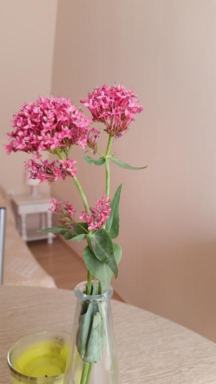 Boglárka Apartman Hajdúszoboszló Esterno foto